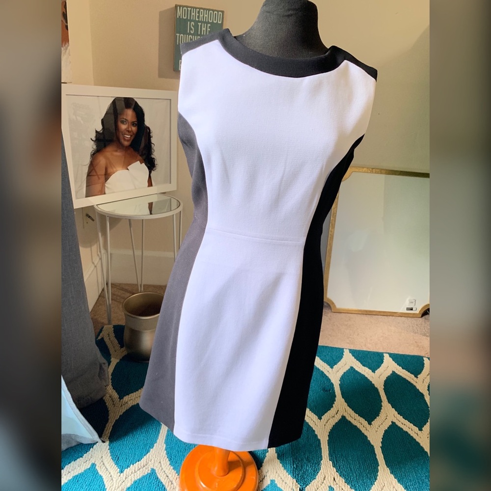 The Limited B&W color-blocked dress